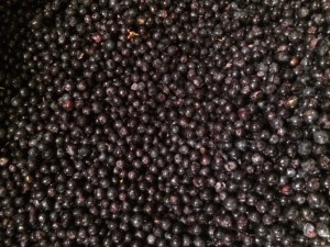 vin medoc caviar