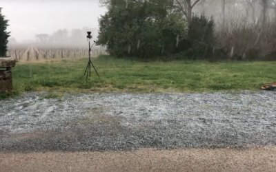 Après le gel, la grêle